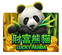 review-Lucky Panda